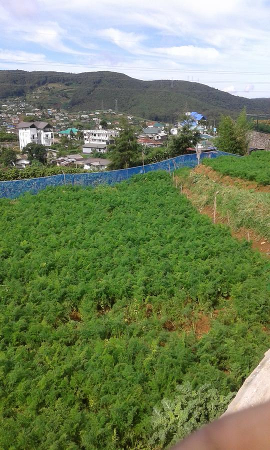 Rainyfreindz Hotel Nuwara Eliya Luaran gambar