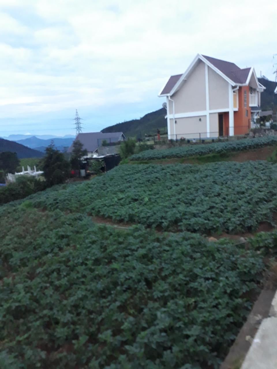 Rainyfreindz Hotel Nuwara Eliya Luaran gambar