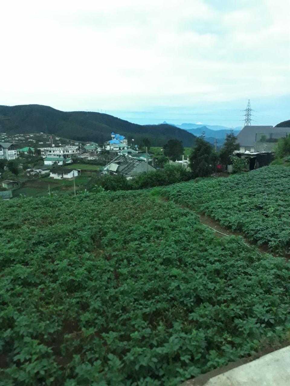 Rainyfreindz Hotel Nuwara Eliya Luaran gambar